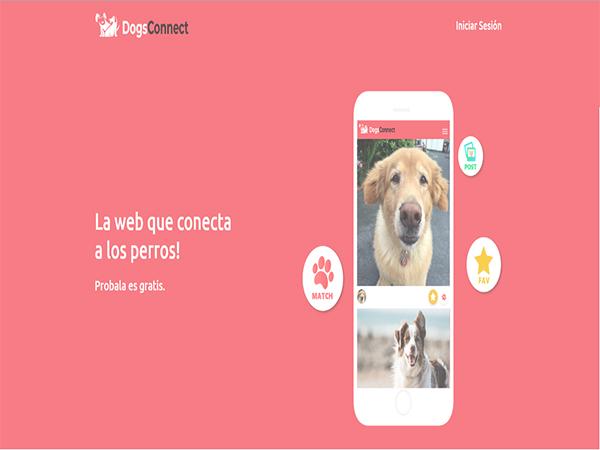 DogsConnect